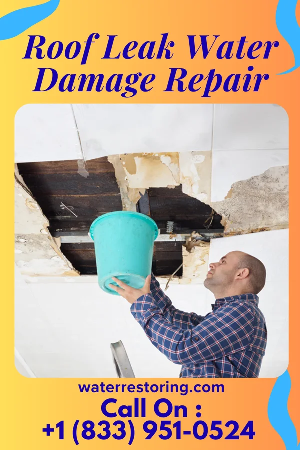 Roof Leak Water Damage Repair in Trinity, FL
