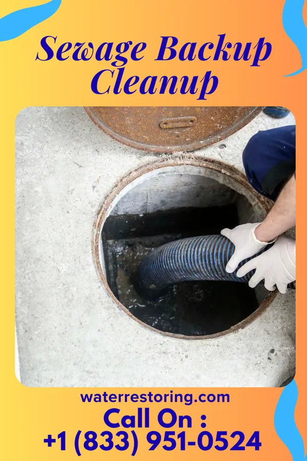 Sewage Backup Cleanup in Trinity, FL